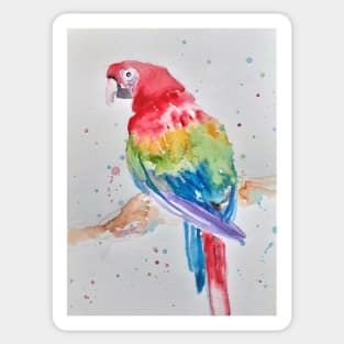 Macaw Parrot Watercolor Painting - Rainbow Coloured Sticker